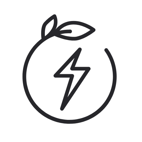 ecrs-icon-1